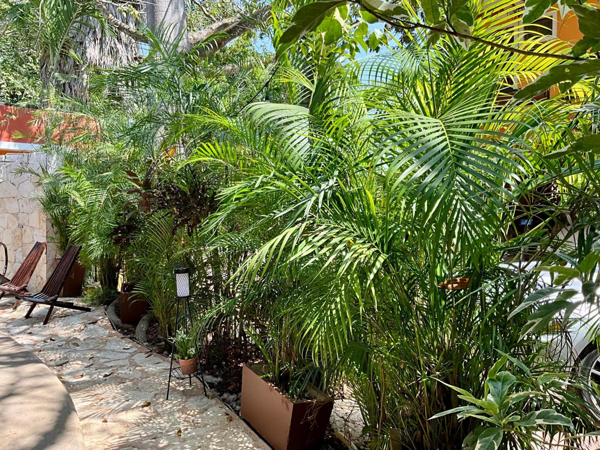 El Zaguan Colonial By Guruhotel 巴利亚多利德 外观 照片
